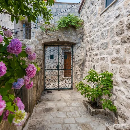 Classique Cavtat