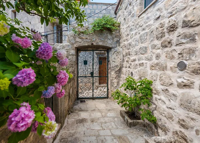 Classique 챠브타트